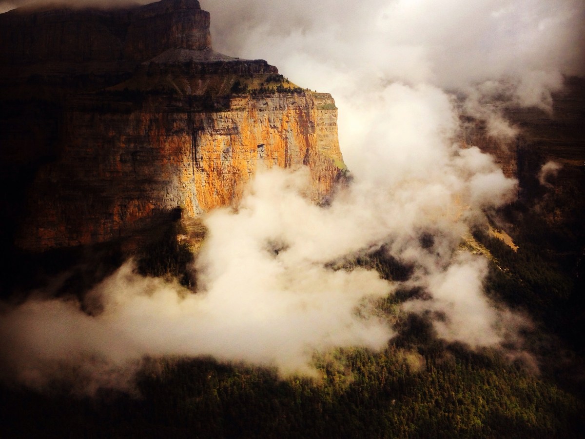 And The Fleas That Tease In The High&nbsp;Pyrenees