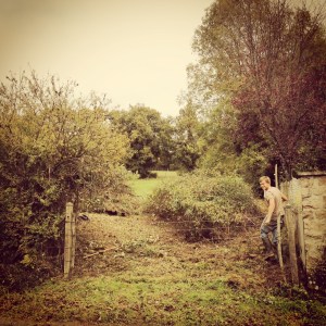 An endless task with many prickles!