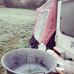 It was a minus 4 kinda morning...