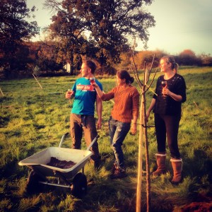 Despite a race against the clock to get the new trees planted, there is always time for wine o'clock at sunset!
