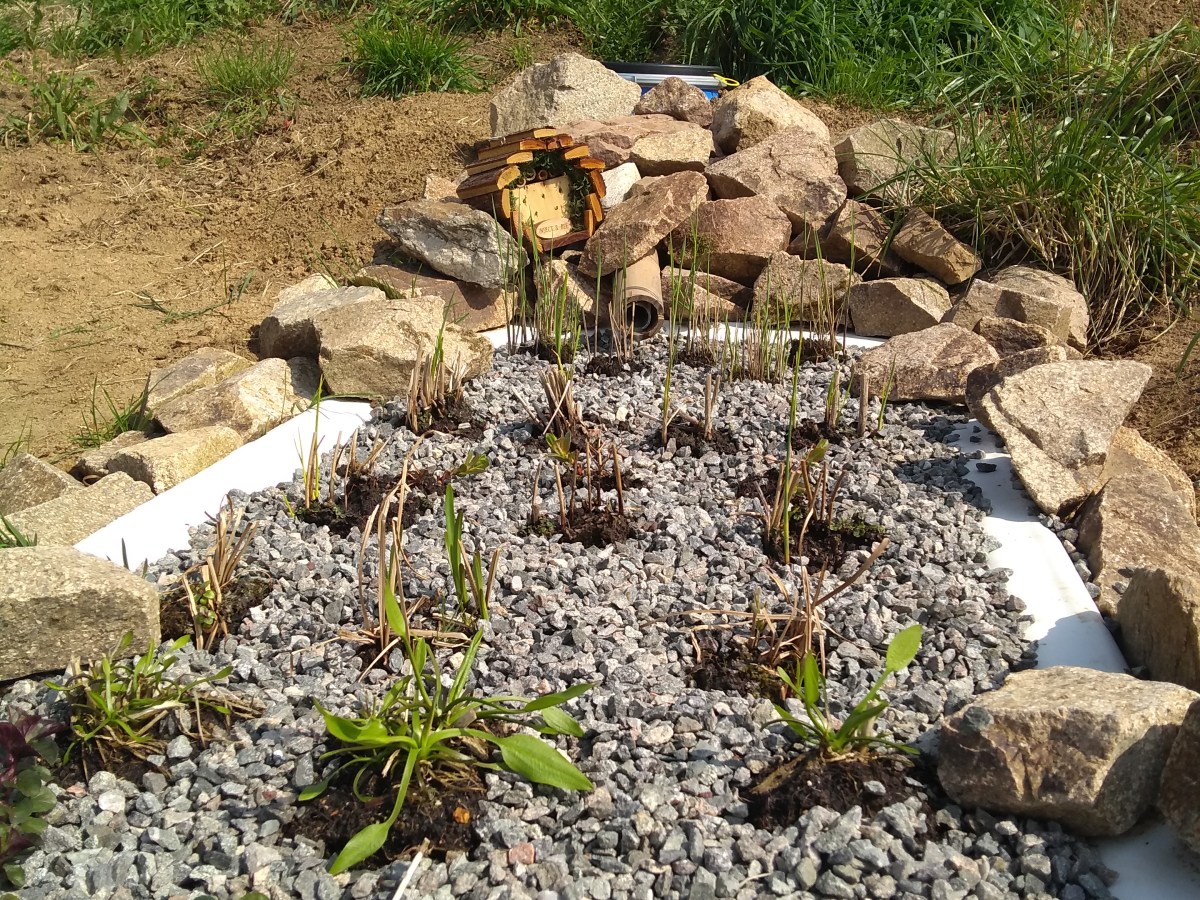 Water Filtration System