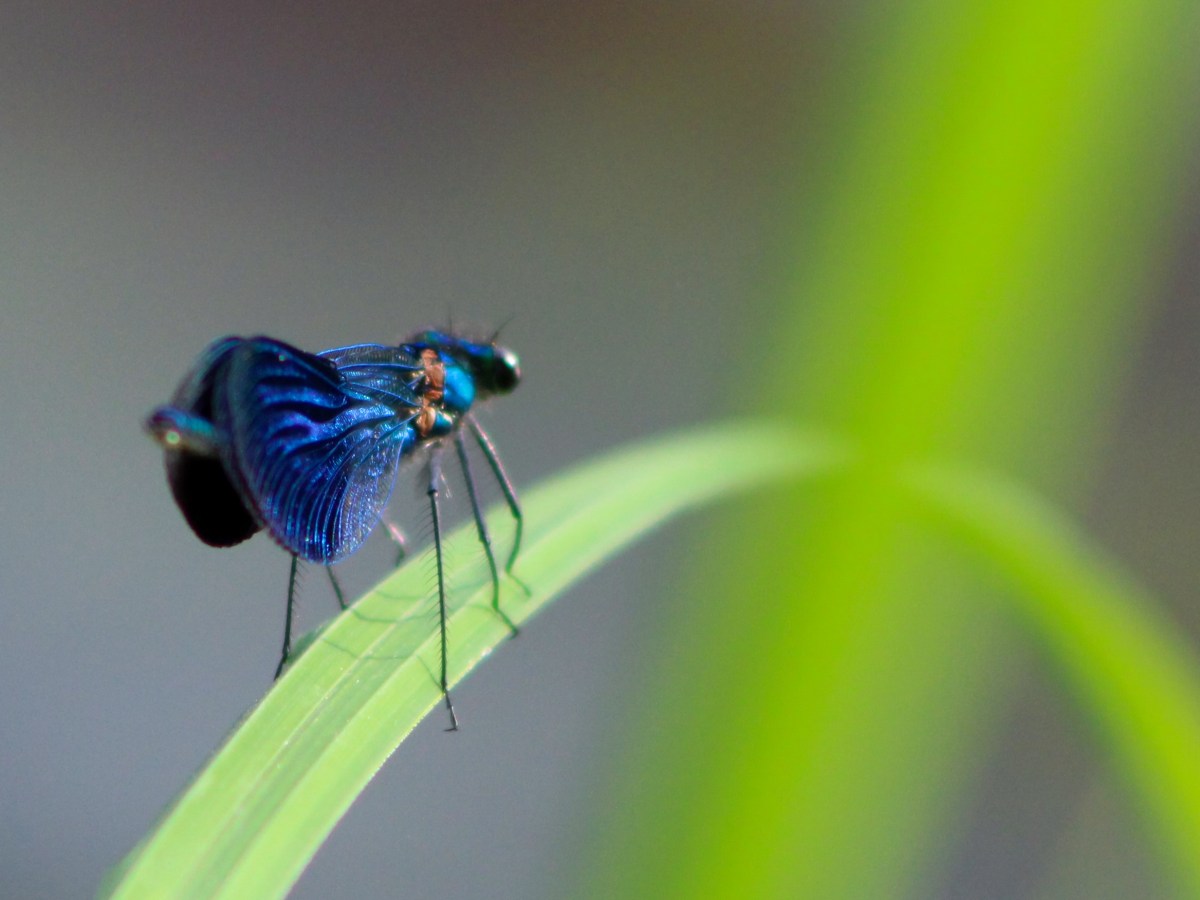 Energy Update: Rethinking Luck, Privilege and&nbsp;Abundance